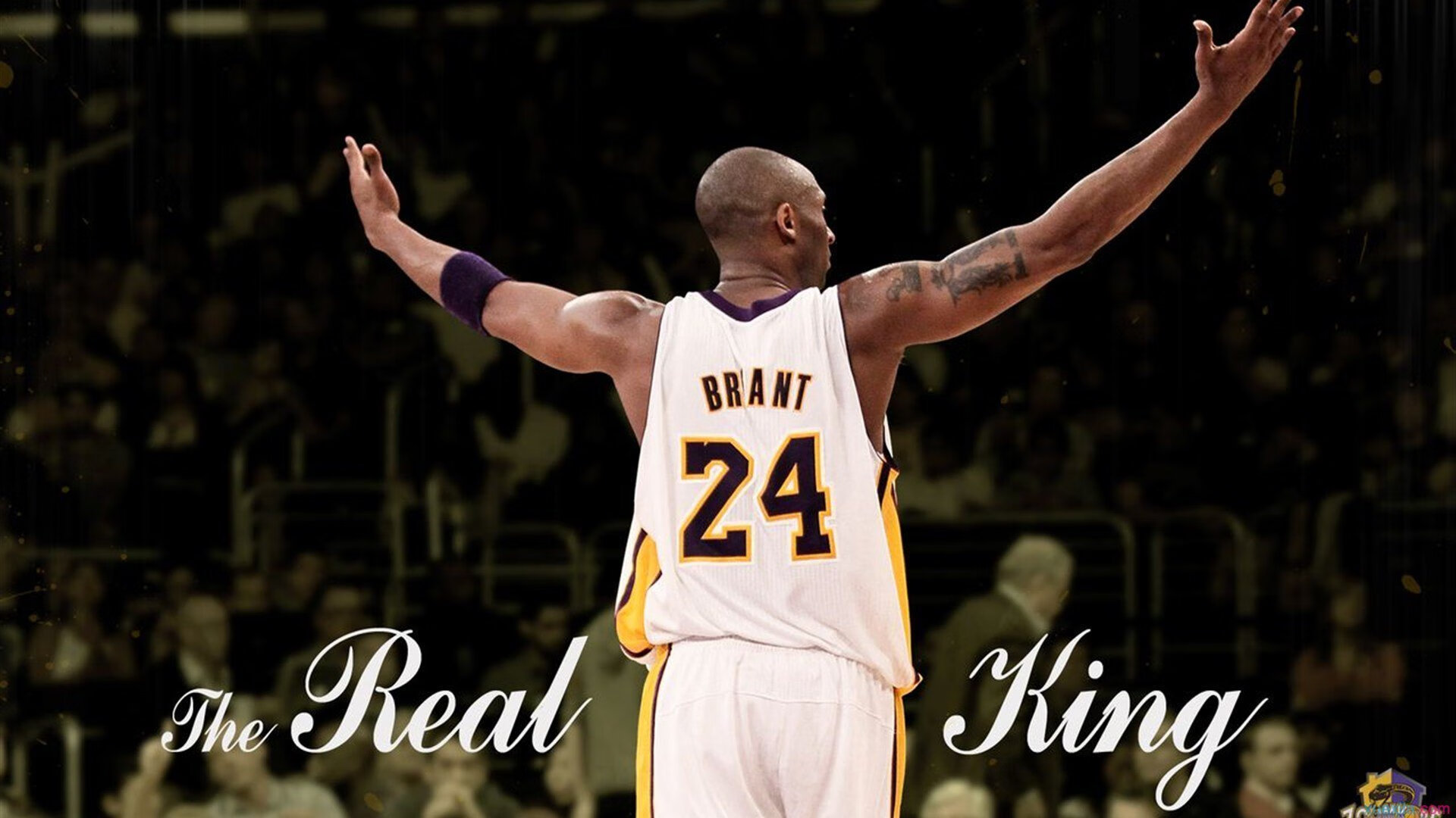 开云APP-跨界传奇，当凯尔特人淘汰爵士之夜，西亚卡姆在欧冠决赛接管比赛