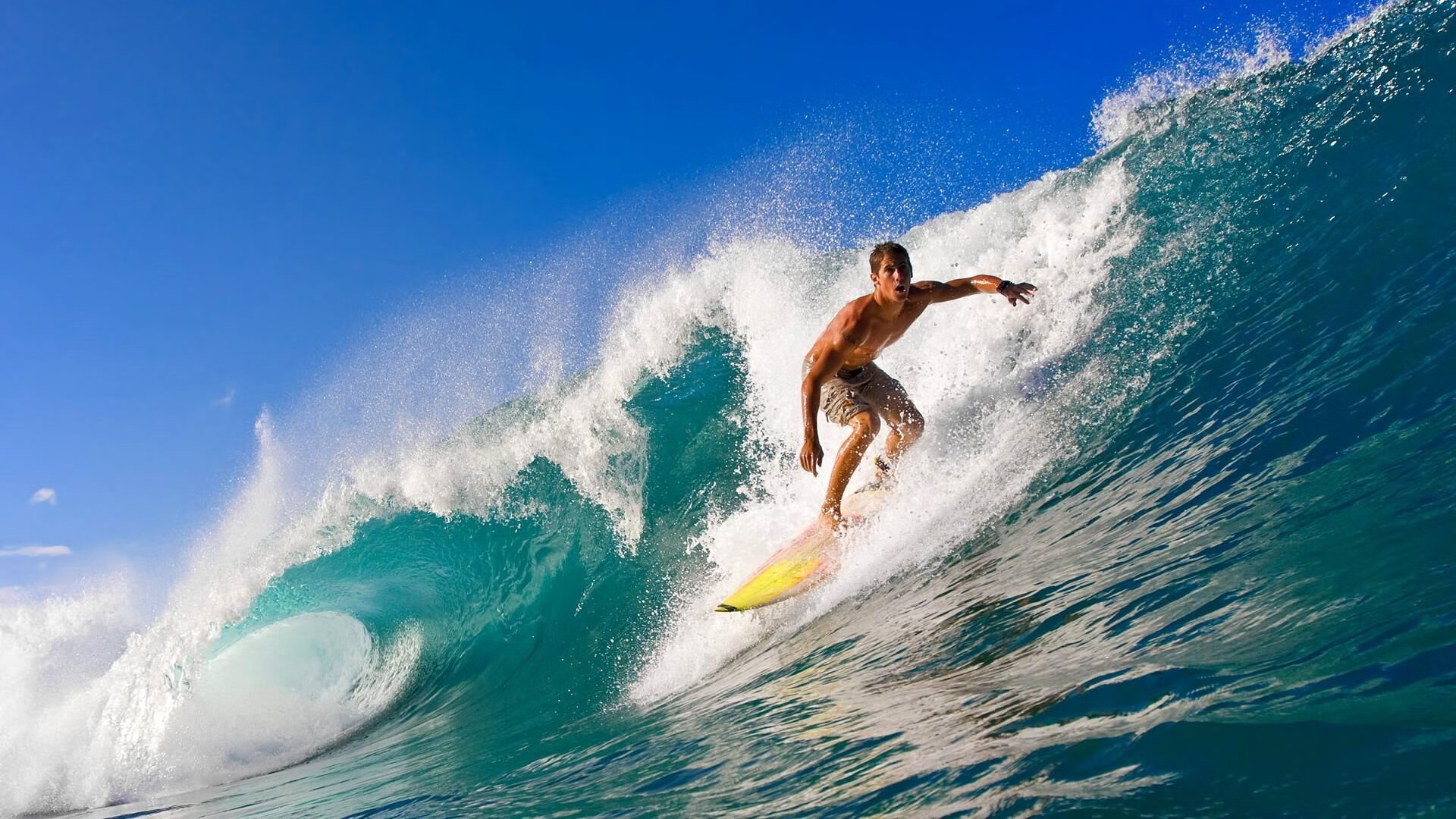 绿茵场与乒乓球台的双重奏，法国绝杀德国，林高远统治全场